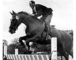 Die Stammstute Friesenjette wurde in jun-gen Jahren neben Dressur auch über Sprünge geritten wie hier 1958 von Ernst Becker. Foto: Archiv